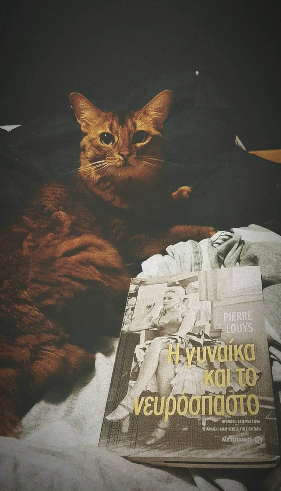 Η γυναίκα και το&nbsp;νευρόσπαστο