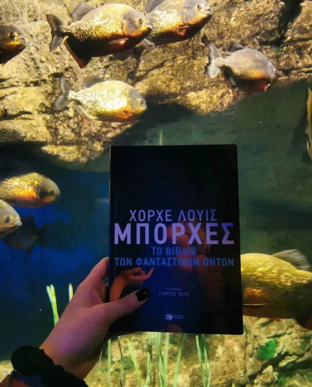 Το βιβλίο των φανταστικών&nbsp;όντων