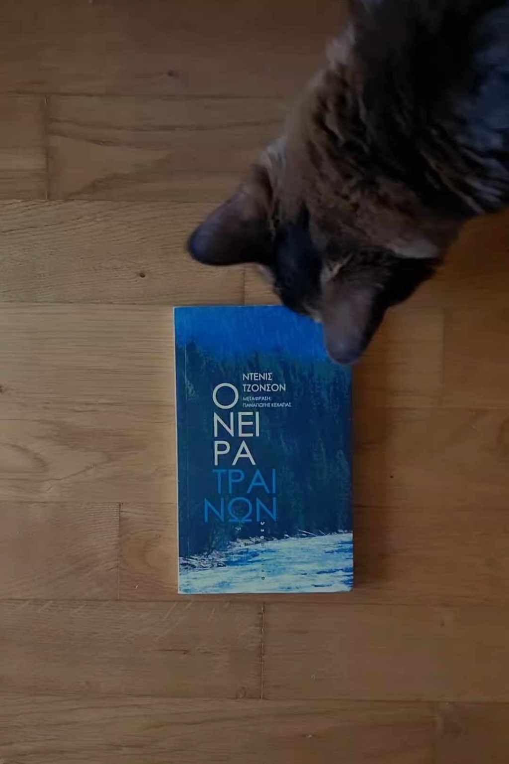 Όνειρα Τραίνων