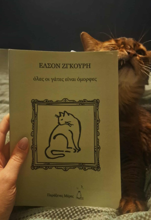 Όλες οι γάτες είναι όμορφες – Έλσον&nbsp;Ζγκούρη